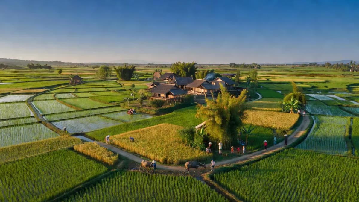 Huyện Tân Yên, Tỉnh Bắc Giang - Giới thiệu quận huyện