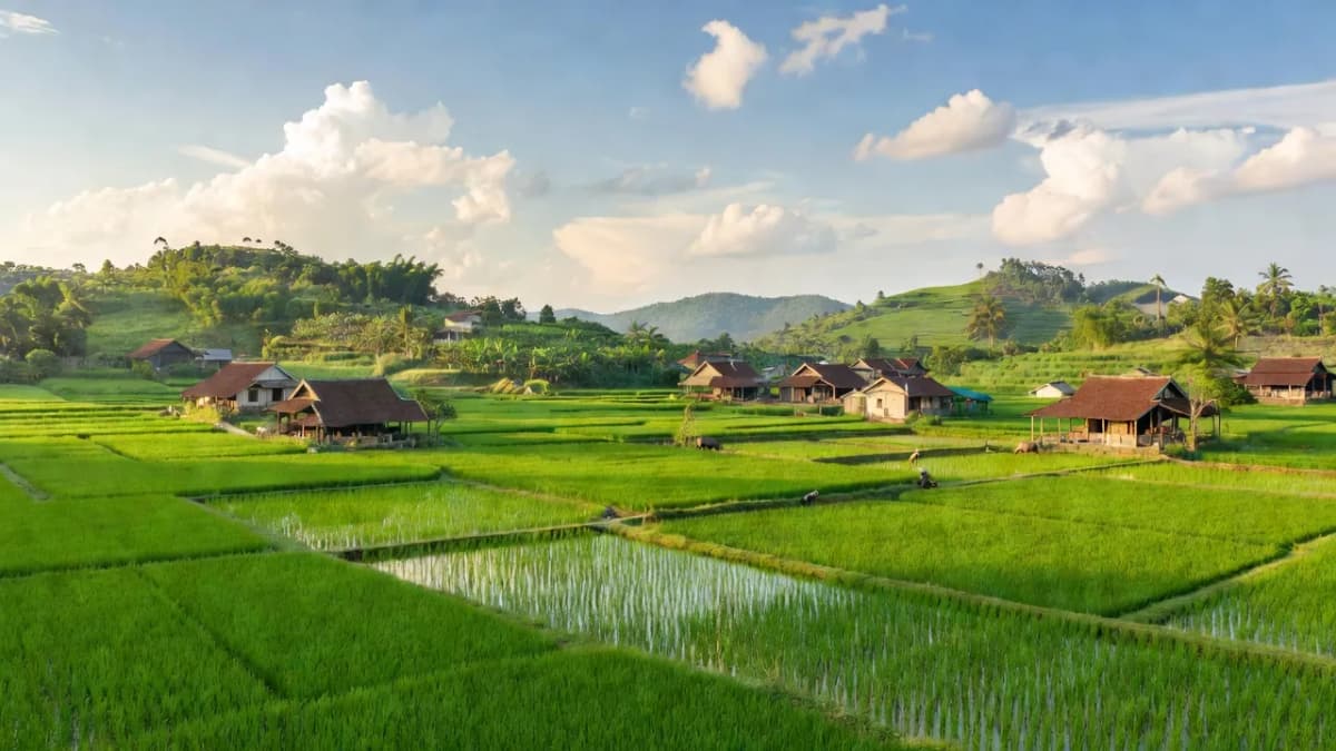 Xã Việt Ngọc, Huyện Tân Yên, Tỉnh Bắc Giang