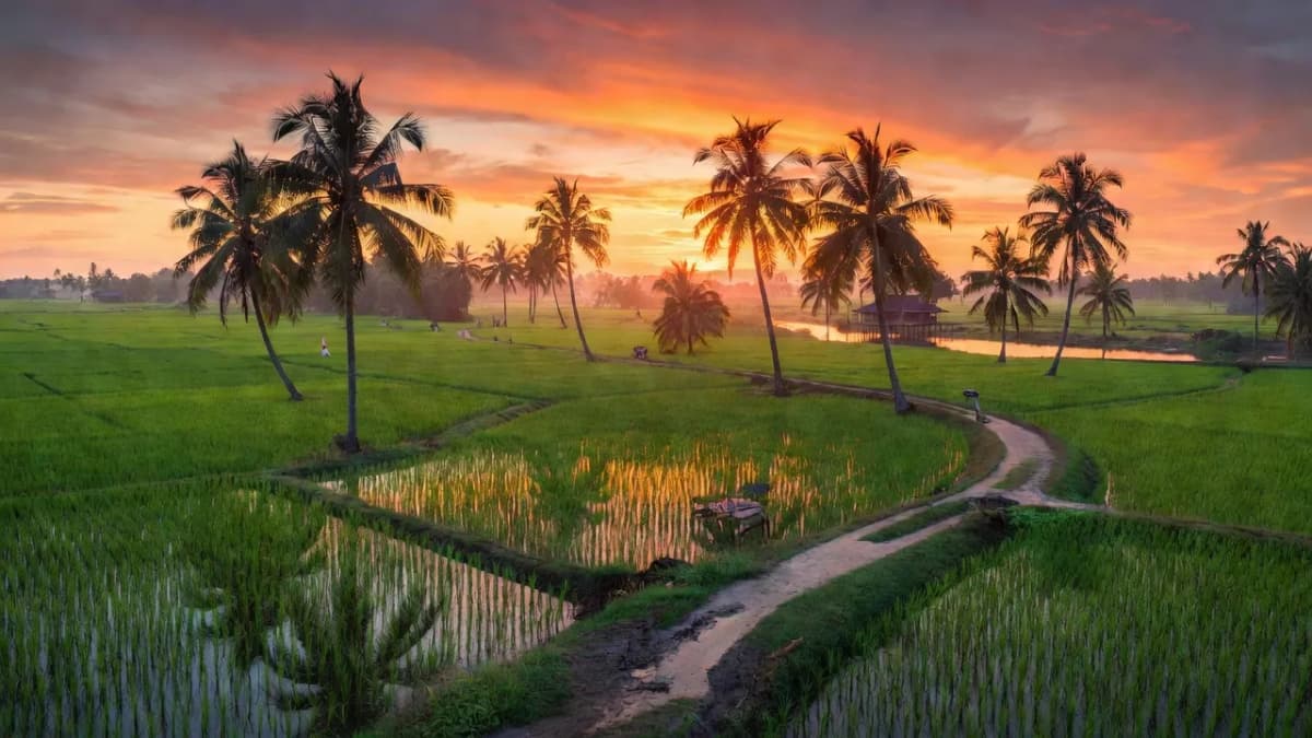 Huyện Châu Thành, Tỉnh Bến Tre - Giới thiệu quận huyện