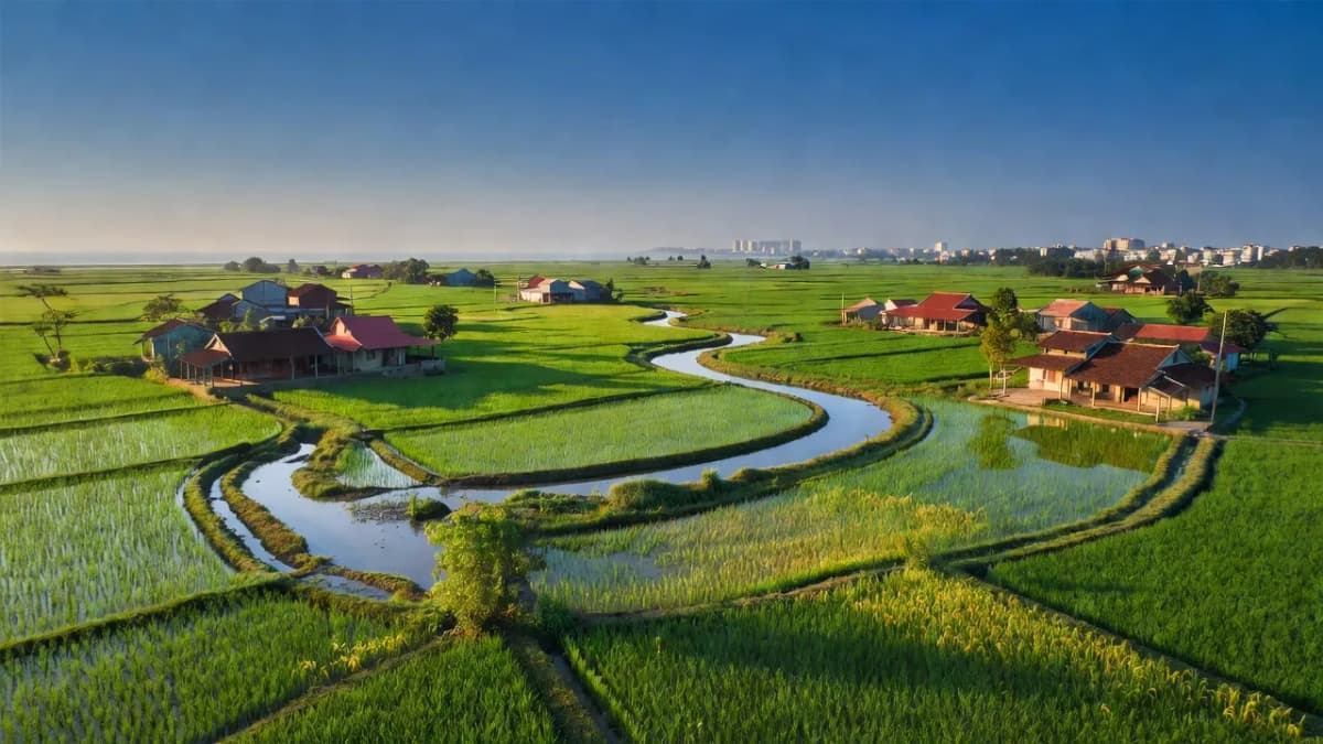 Huyện Tuy Phước, Tỉnh Bình Định - Giới thiệu quận huyện