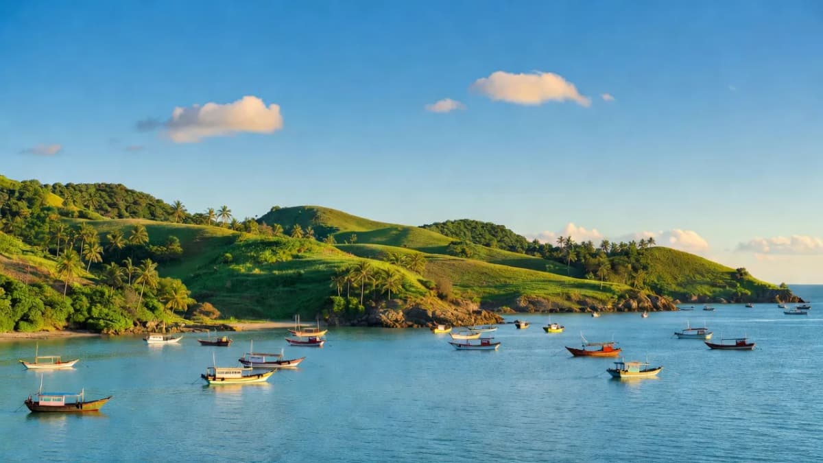 Tỉnh Bình Định - Giới thiệu tỉnh thành