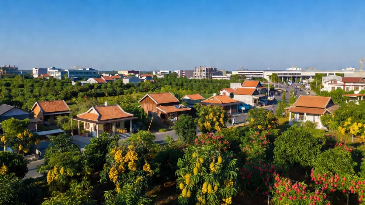 Huyện Bắc Tân Uyên, Tỉnh Bình Dương - Giới thiệu quận huyện