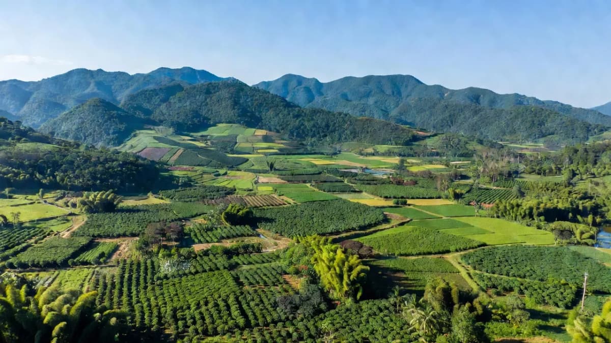 Tỉnh Bình Phước - Giới thiệu tỉnh thành
