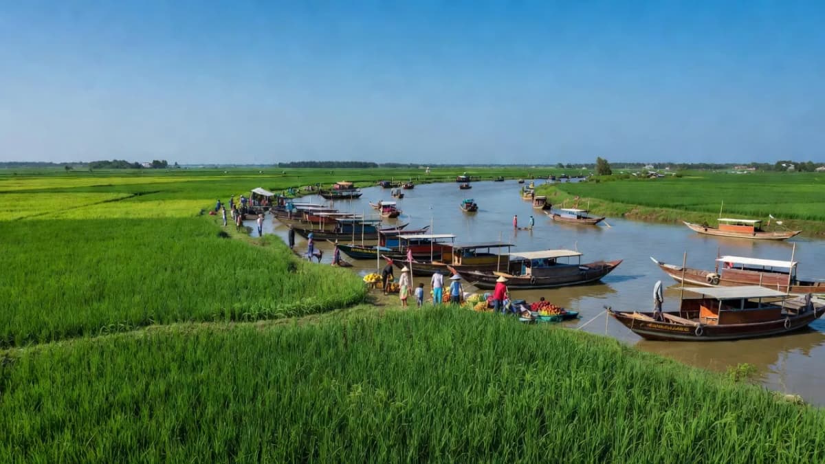 Quận Cái Răng, Thành phố Cần Thơ - Giới thiệu quận huyện