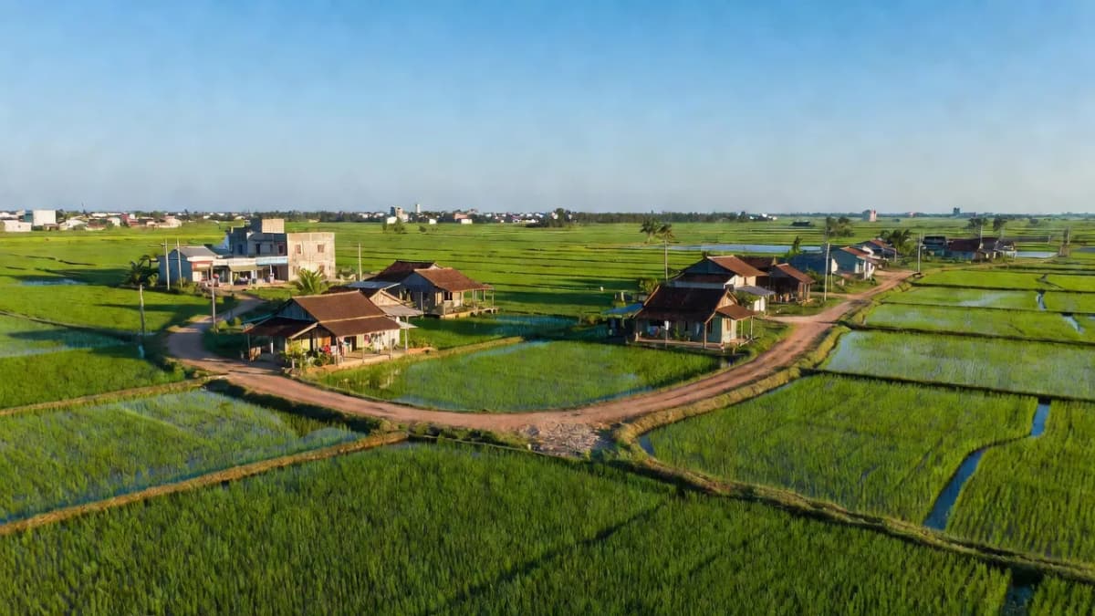 Phường Thới An, Quận Ô Môn, Thành phố Cần Thơ