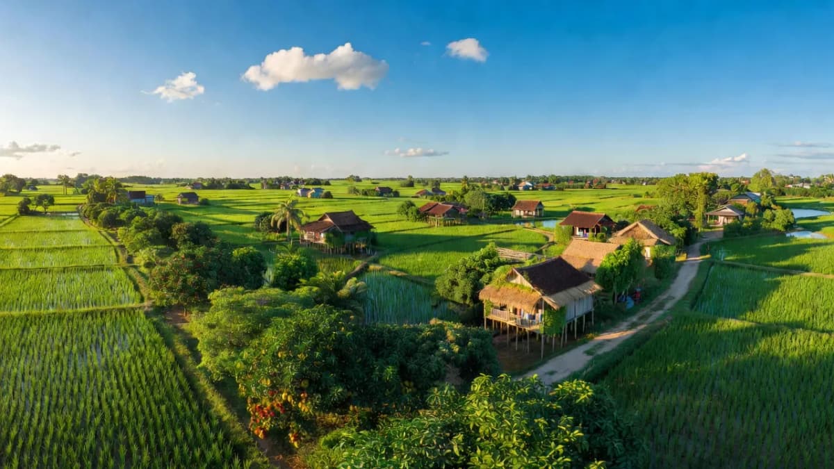 Xã Thới Thạnh, Huyện Thới Lai, Thành phố Cần Thơ