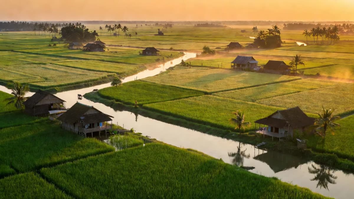 Xã Trường Xuân B, Huyện Thới Lai, Thành phố Cần Thơ