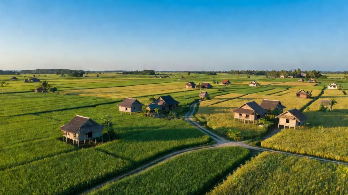 Huyện Vĩnh Thạnh, Thành phố Cần Thơ - Giới thiệu quận huyện
