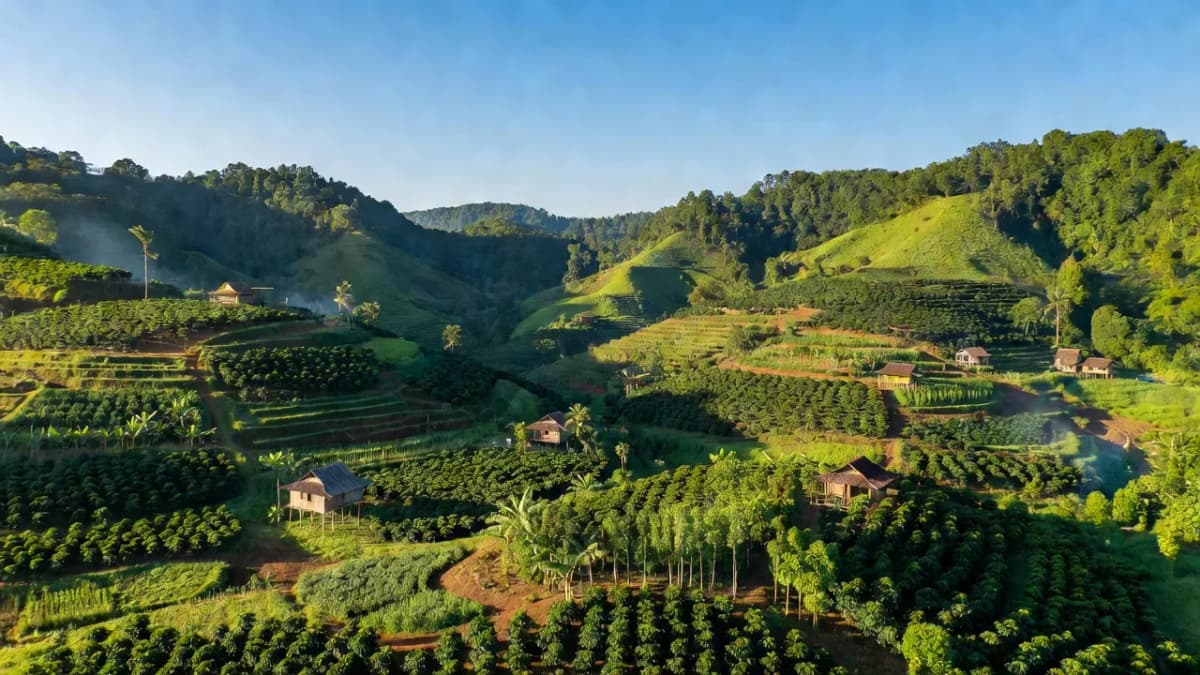 Huyện Ea Kar, Tỉnh Đắk Lắk - Giới thiệu quận huyện
