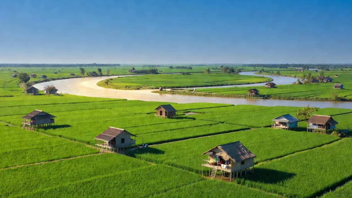 Huyện Hồng Ngự, Tỉnh Đồng Tháp - Giới thiệu quận huyện