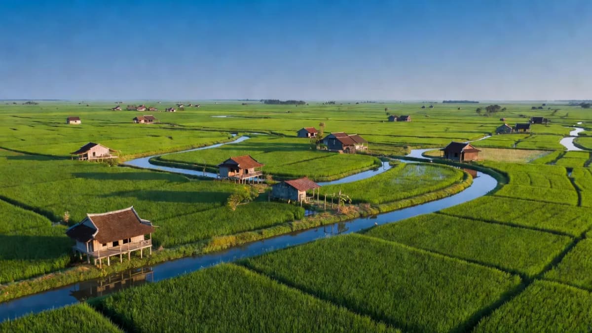 Huyện Tam Nông, Tỉnh Đồng Tháp - Giới thiệu quận huyện