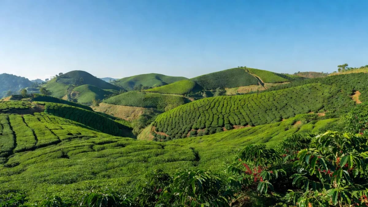 Huyện Chư Prông, Tỉnh Gia Lai - Giới thiệu quận huyện