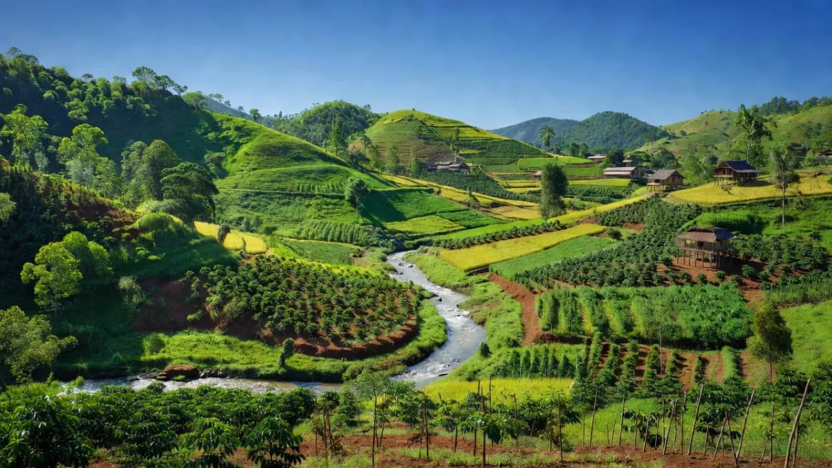 Huyện Ia Pa, Tỉnh Gia Lai - Giới thiệu quận huyện