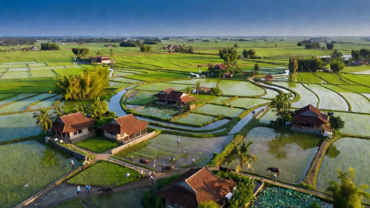 Huyện Bình Lục, Tỉnh Hà Nam - Giới thiệu quận huyện