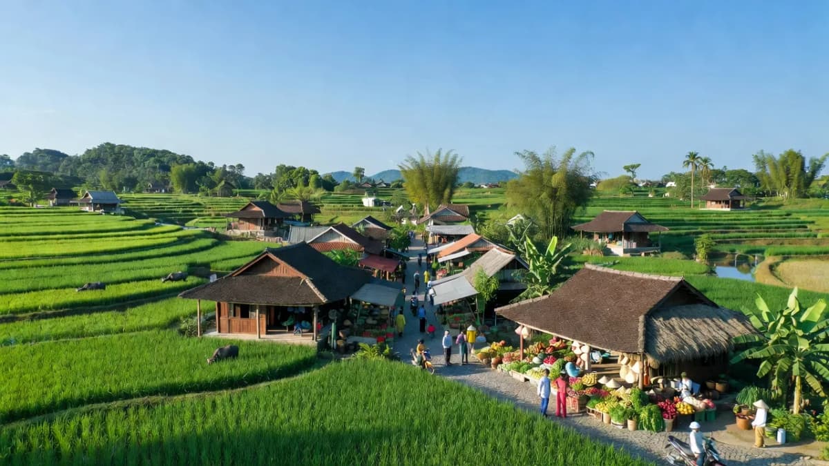 Huyện An Lão, Thành phố Hải Phòng - Giới thiệu quận huyện