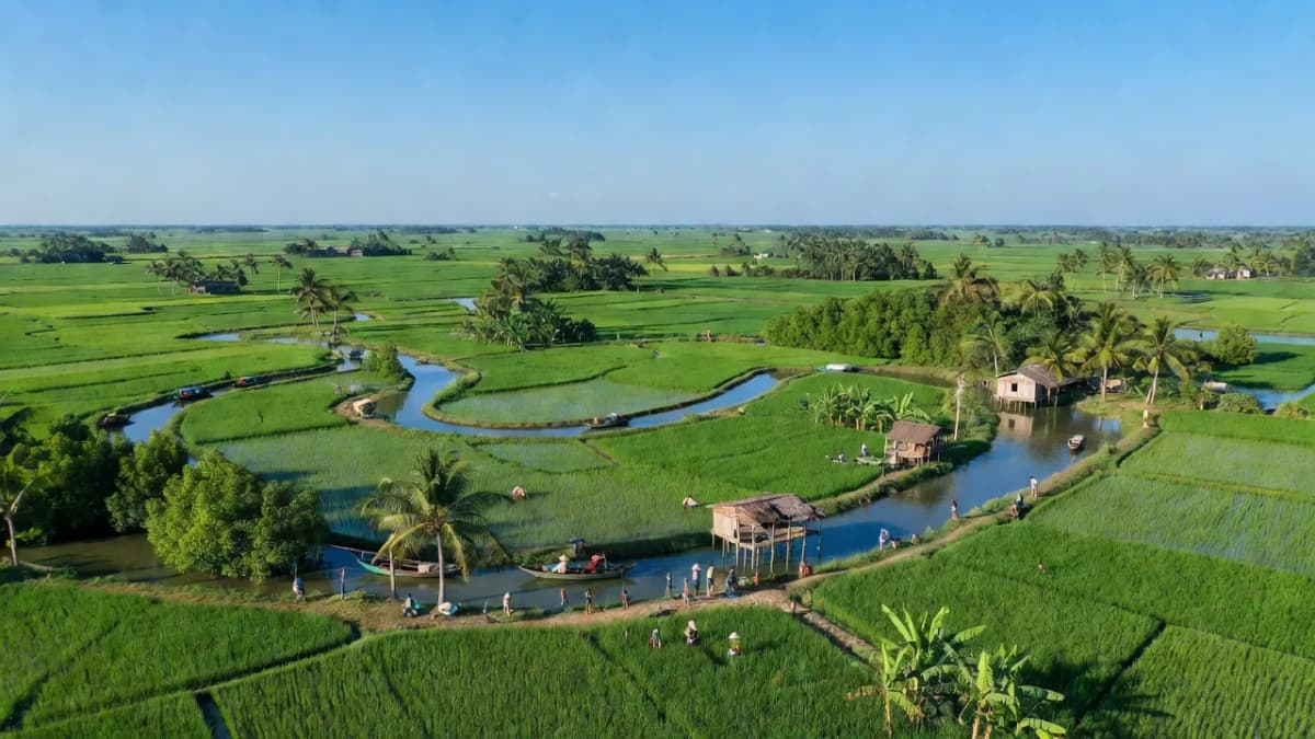 Huyện Châu Thành A, Tỉnh Hậu Giang - Giới thiệu quận huyện