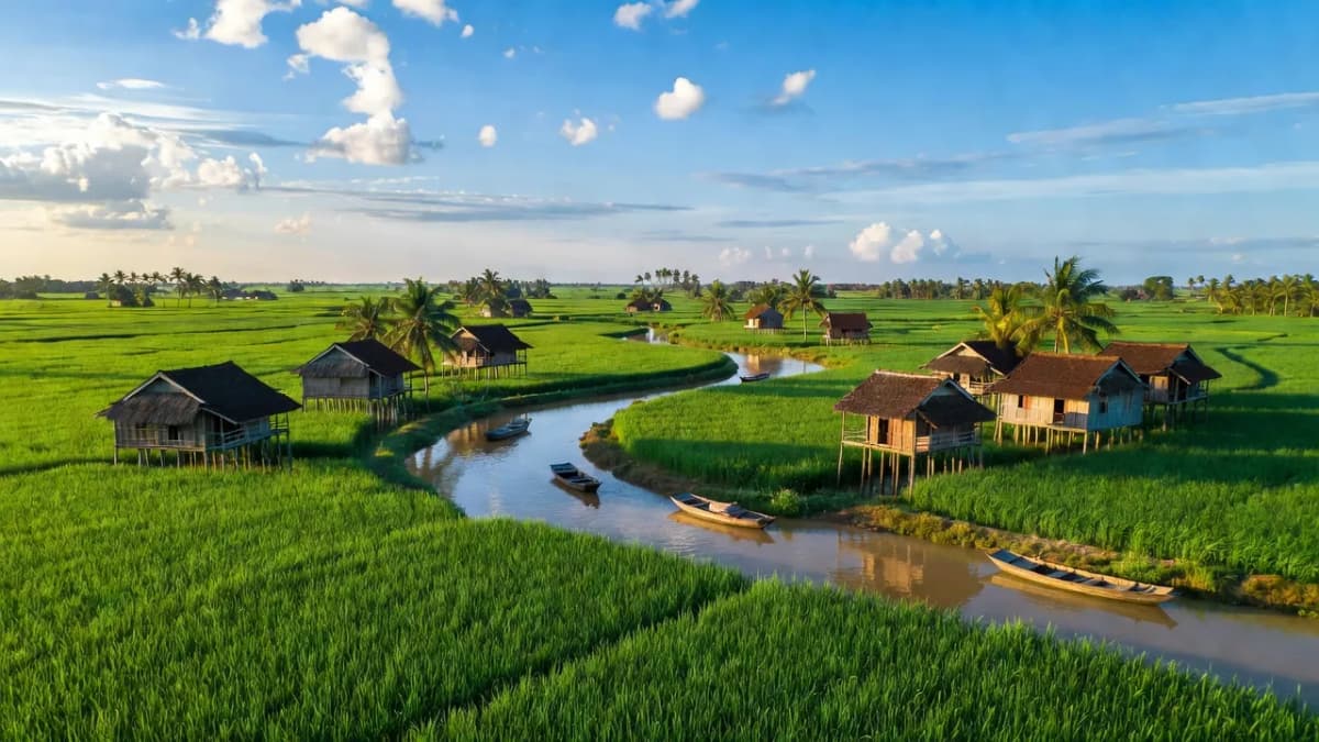 Huyện Phụng Hiệp, Tỉnh Hậu Giang - Giới thiệu quận huyện