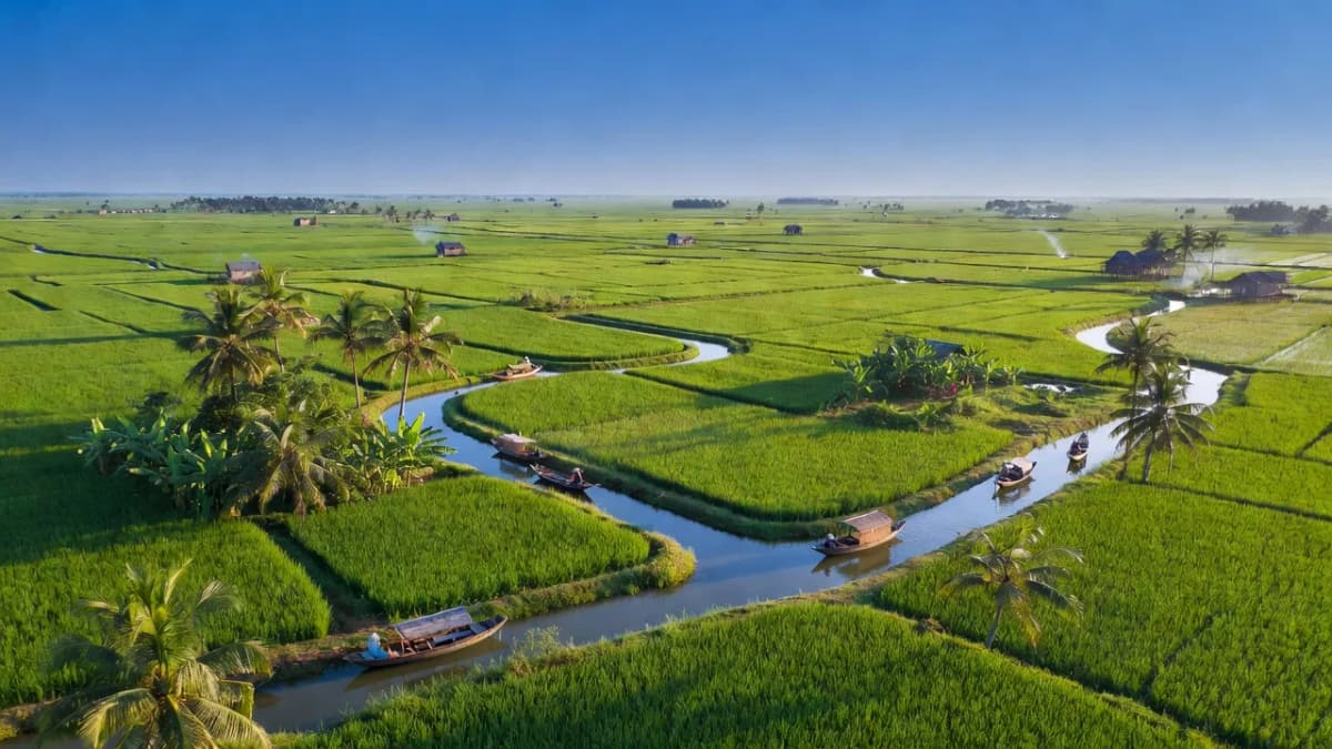 Huyện Vị Thuỷ, Tỉnh Hậu Giang - Giới thiệu quận huyện