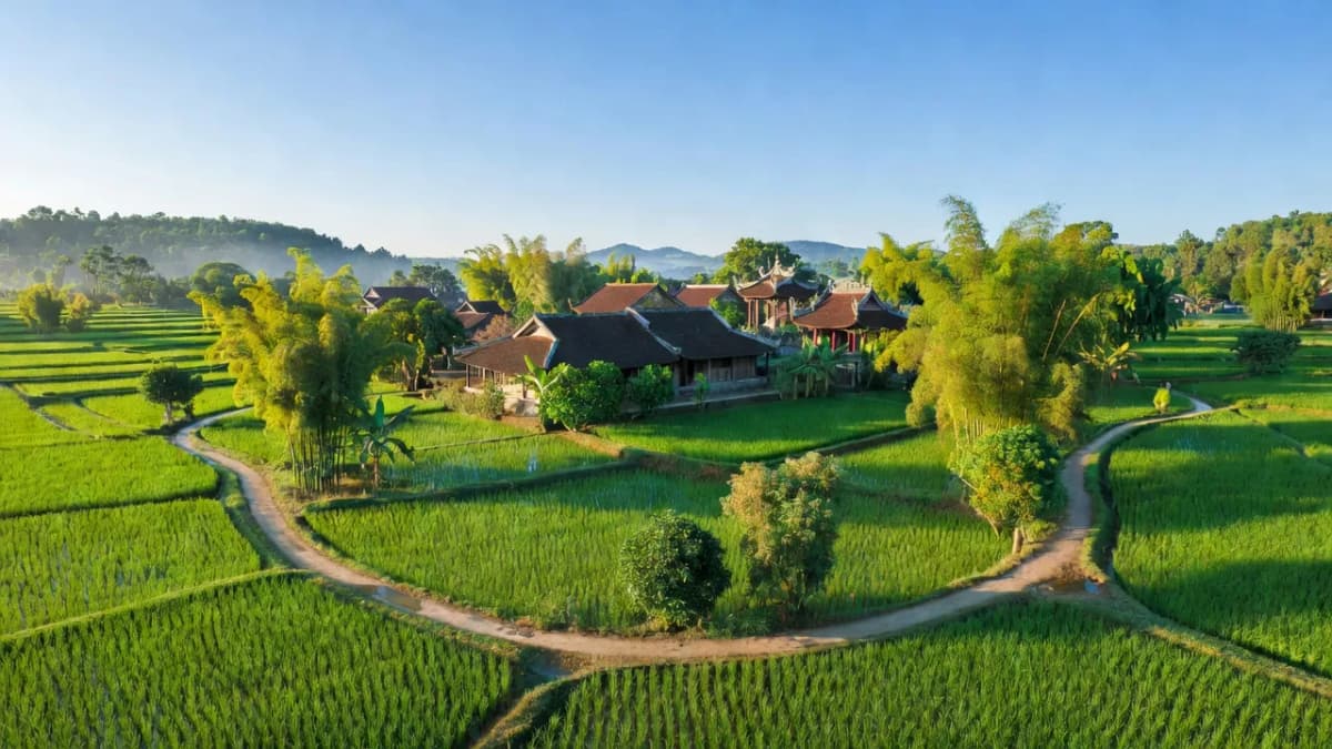Thị xã Phong Điền, Thành phố Huế - Giới thiệu quận huyện