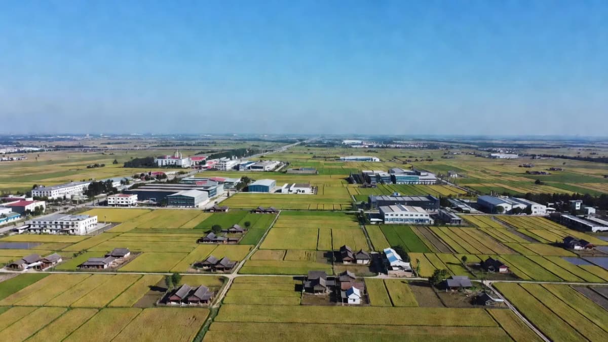 Huyện Văn Lâm, Tỉnh Hưng Yên - Giới thiệu quận huyện