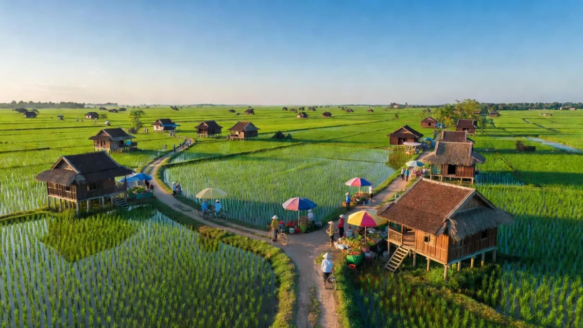 Huyện Tân Hiệp, Tỉnh Kiên Giang - Giới thiệu quận huyện