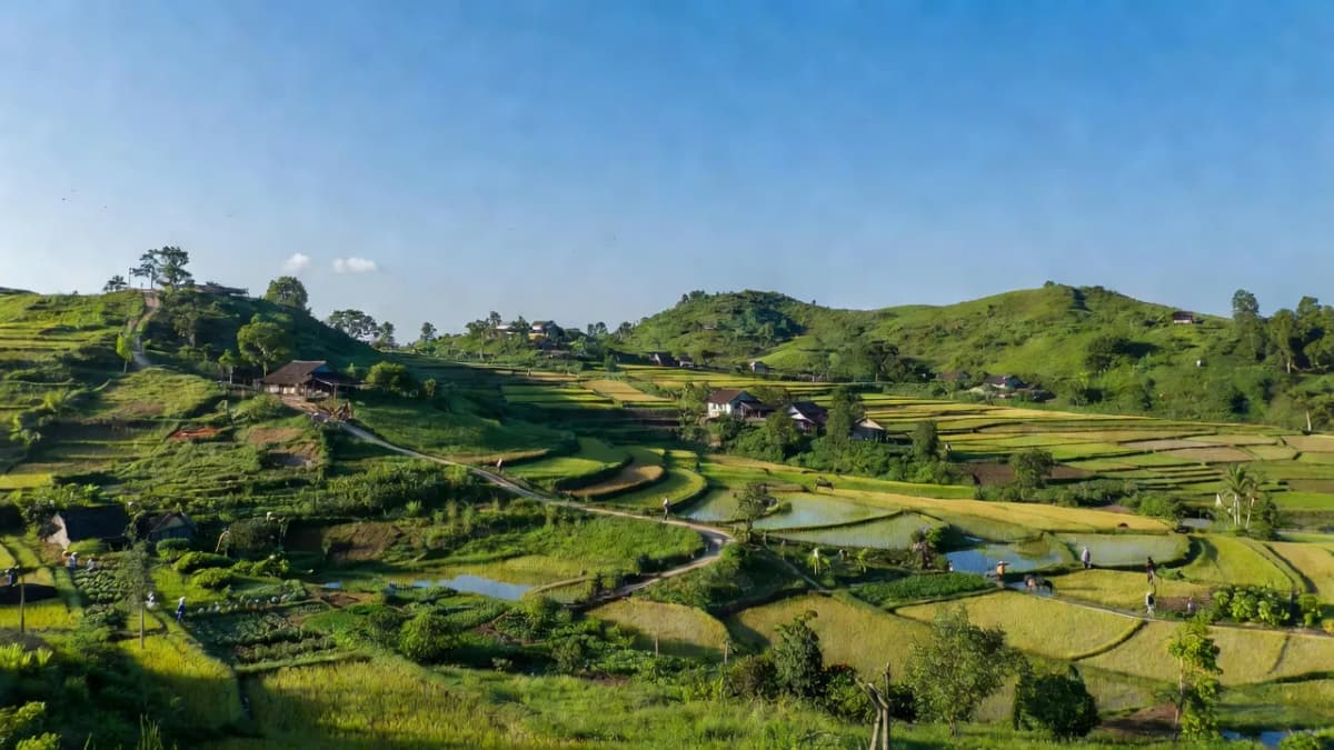Xã Thụy Hùng, Huyện Cao Lộc, Tỉnh Lạng Sơn