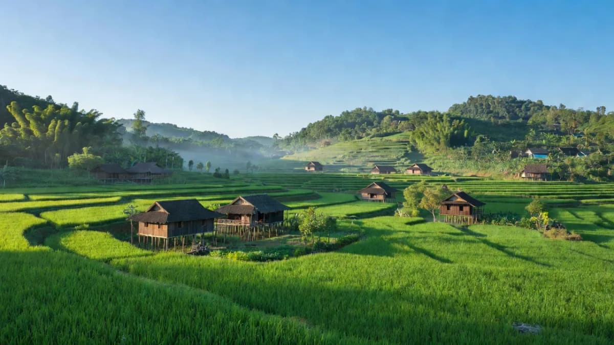 Xã Phong Niên, Huyện Bảo Thắng, Tỉnh Lào Cai