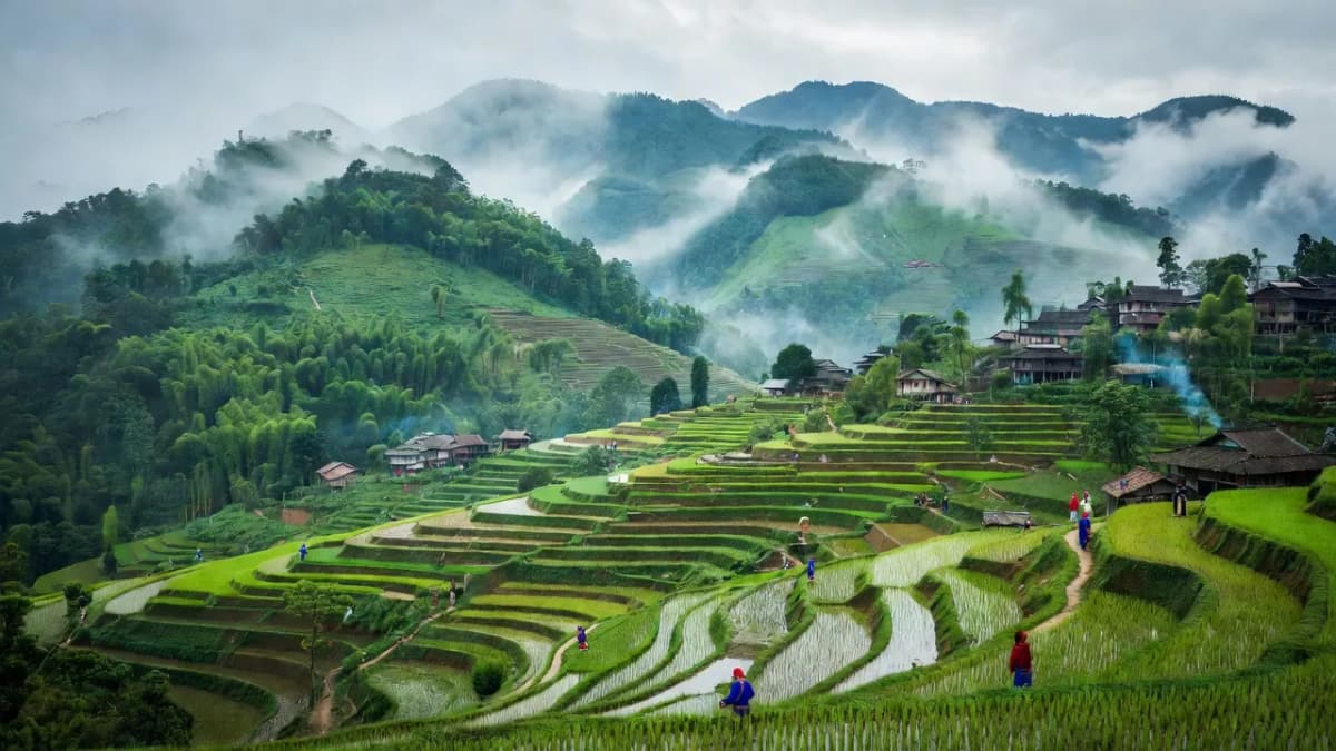 Thị xã Sa Pa, Tỉnh Lào Cai - Giới thiệu quận huyện