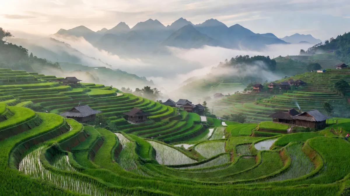 Xã Hoàng Liên, Thị xã Sa Pa, Tỉnh Lào Cai