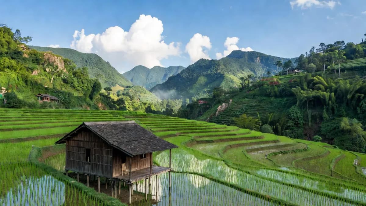 Xã Dương Quỳ, Huyện Văn Bàn, Tỉnh Lào Cai