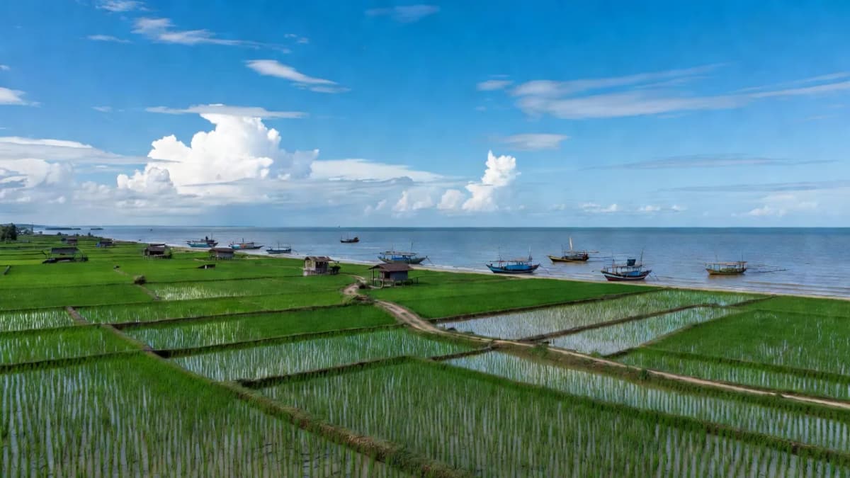 Huyện Nghĩa Hưng, Tỉnh Nam Định - Giới thiệu quận huyện