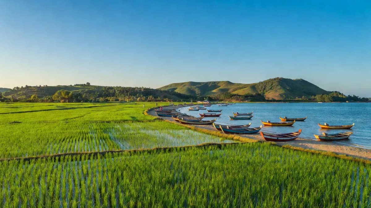 Huyện Diễn Châu, Tỉnh Nghệ An - Giới thiệu quận huyện