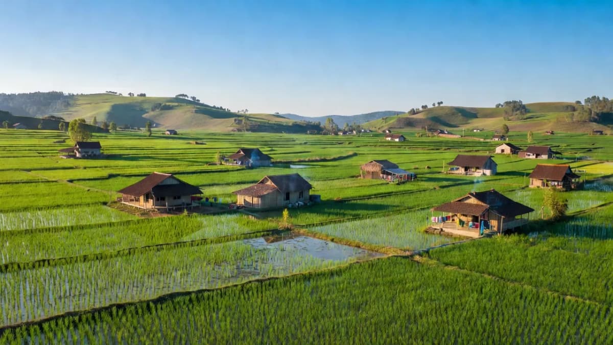 Huyện Yên Thành, Tỉnh Nghệ An - Giới thiệu quận huyện
