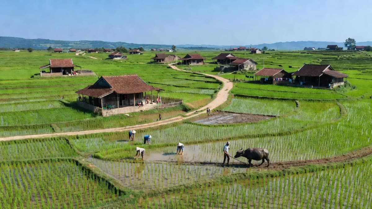 Xã Phượng Vĩ, Huyện Cẩm Khê, Tỉnh Phú Thọ