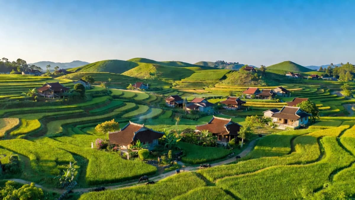 Huyện Lâm Thao, Tỉnh Phú Thọ - Giới thiệu quận huyện