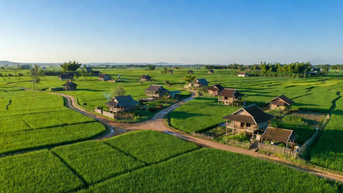 Huyện Tam Nông, Tỉnh Phú Thọ - Giới thiệu quận huyện