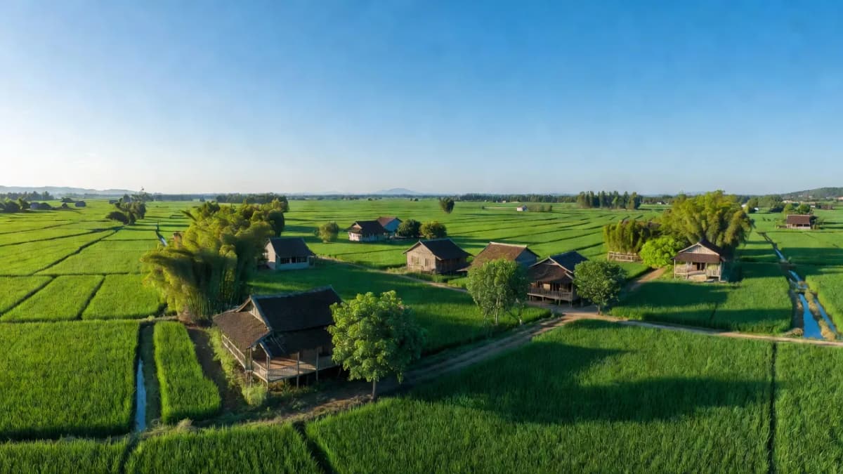 Xã Quang Húc, Huyện Tam Nông, Tỉnh Phú Thọ