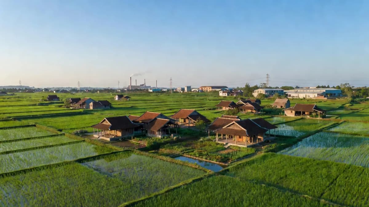 Xã Vạn Xuân, Huyện Tam Nông, Tỉnh Phú Thọ