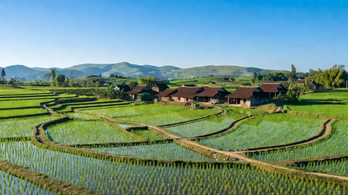 Xã Hanh Cù, Huyện Thanh Ba, Tỉnh Phú Thọ