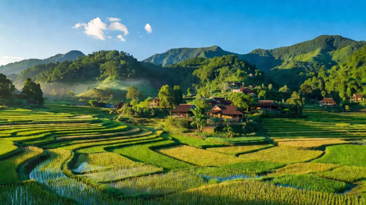 Huyện Bắc Trà My, Tỉnh Quảng Nam - Giới thiệu quận huyện