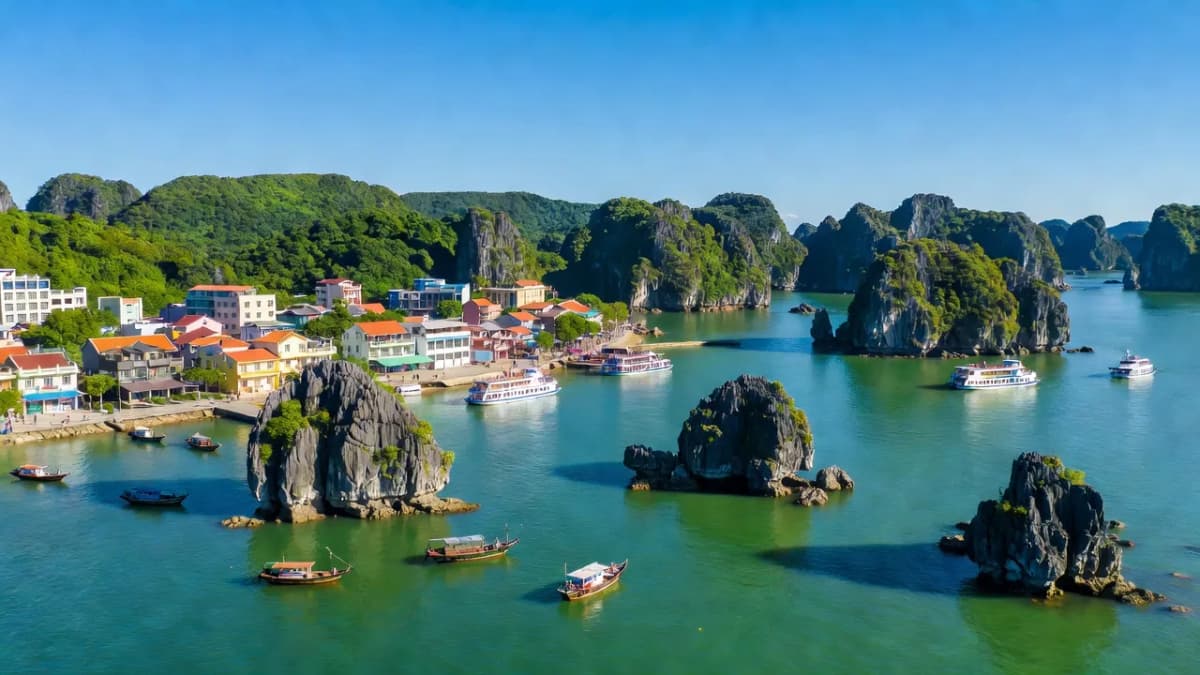 Thành phố Hạ Long, Tỉnh Quảng Ninh - Giới thiệu quận huyện