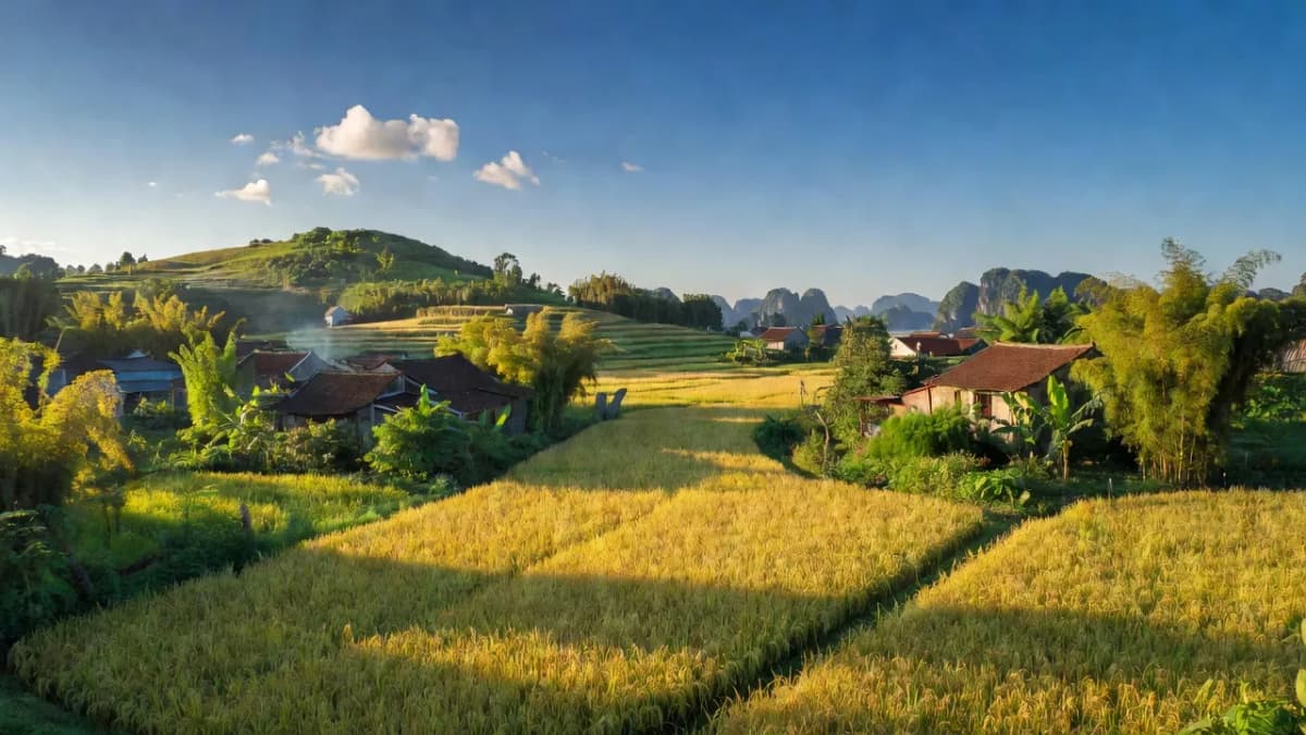 Xã Dân Chủ - Ảnh 1