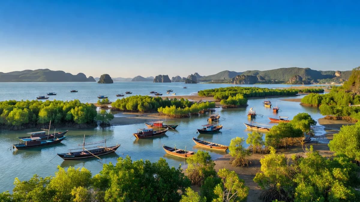 Huyện Tiên Yên, Tỉnh Quảng Ninh - Giới thiệu quận huyện