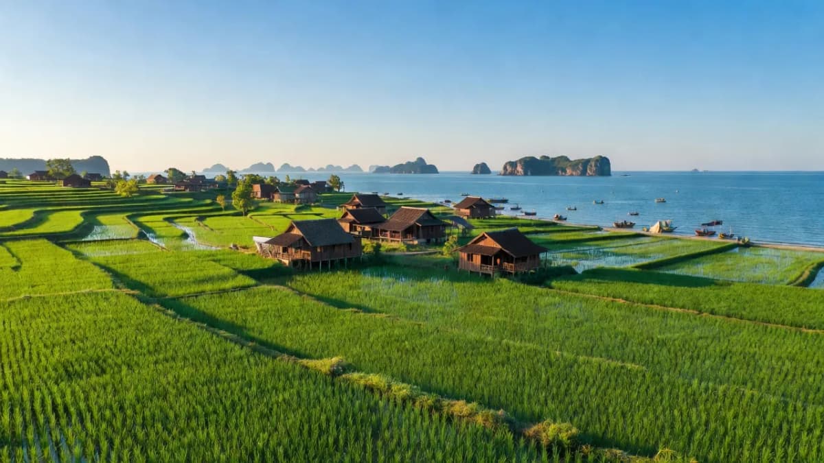 Xã Bình Dân, Huyện Vân Đồn, Tỉnh Quảng Ninh
