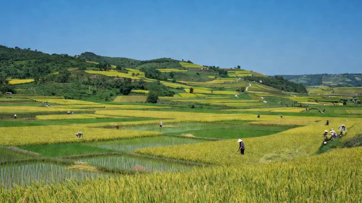 Huyện Cam Lộ, Tỉnh Quảng Trị - Giới thiệu quận huyện