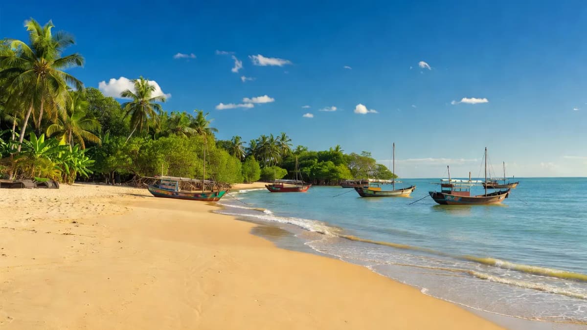 Huyện Nga Sơn, Tỉnh Thanh Hóa - Giới thiệu quận huyện