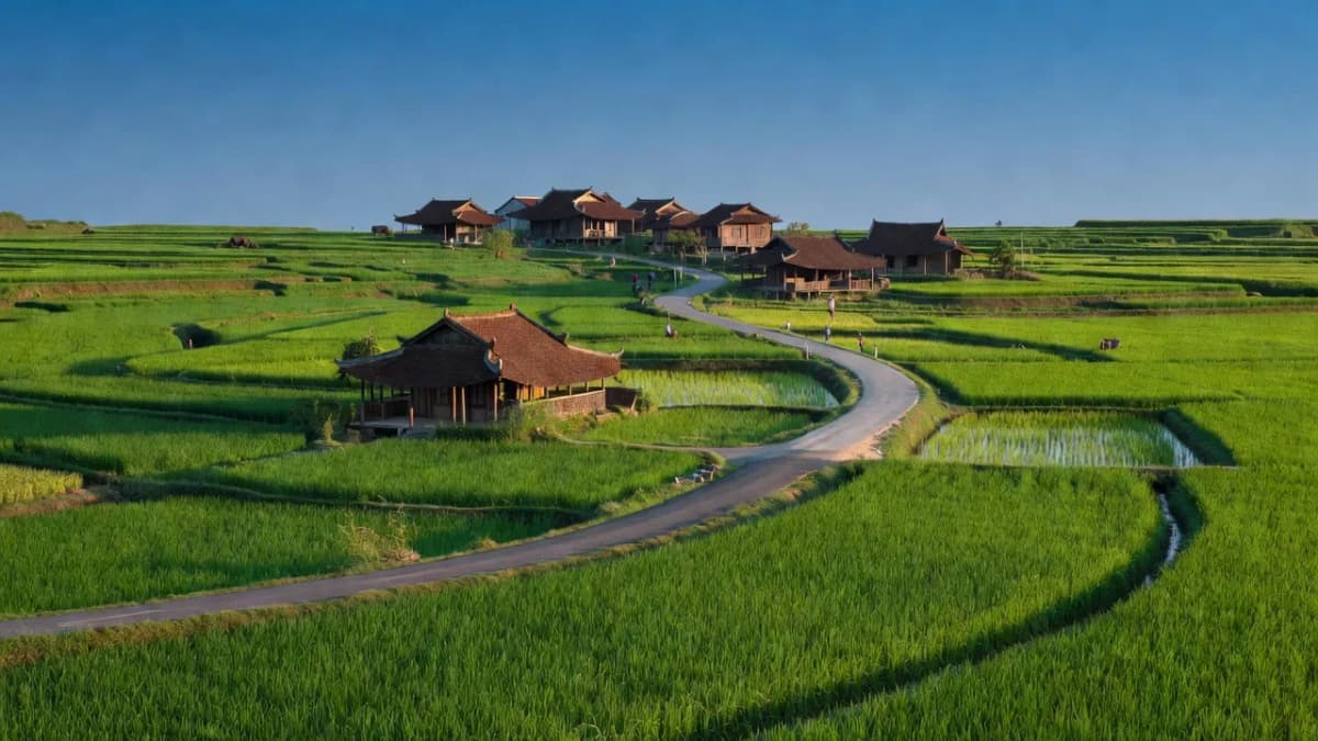 Huyện Nông Cống, Tỉnh Thanh Hóa - Giới thiệu quận huyện