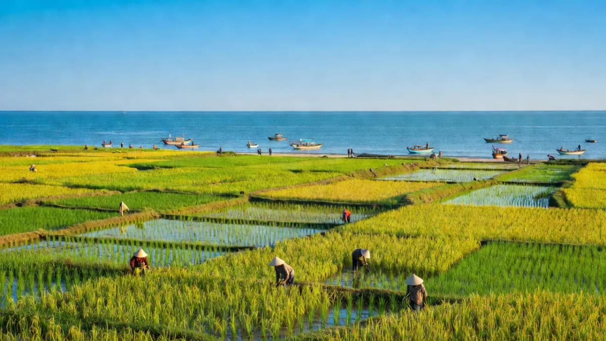 Huyện Quảng Xương, Tỉnh Thanh Hóa - Giới thiệu quận huyện