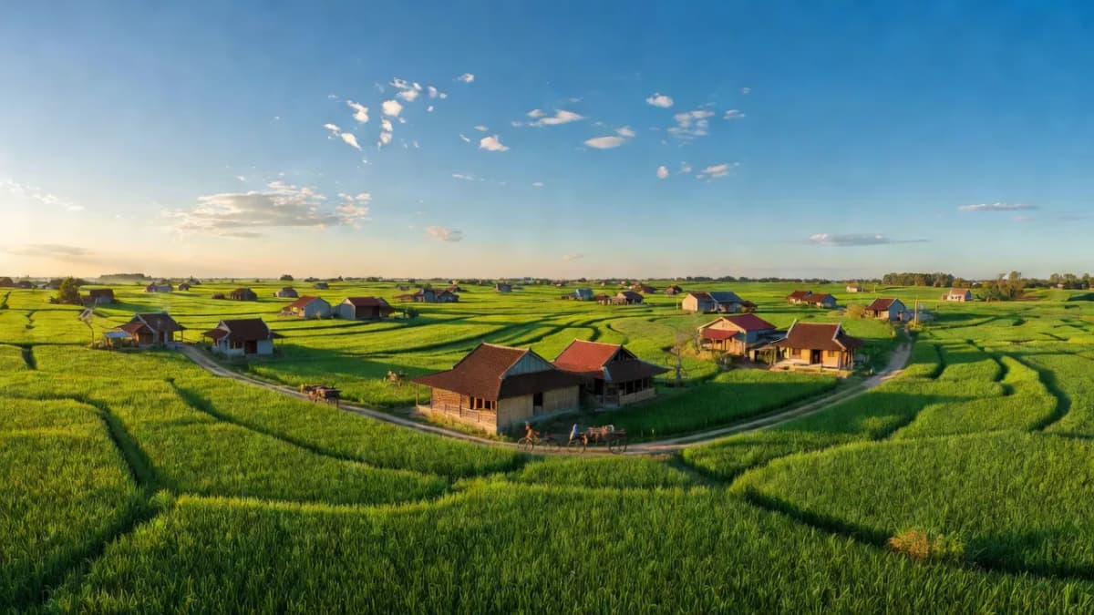 Huyện Thiệu Hóa, Tỉnh Thanh Hóa - Giới thiệu quận huyện