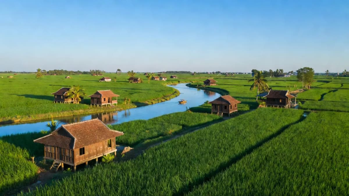 Huyện Chợ Gạo, Tỉnh Tiền Giang - Giới thiệu quận huyện